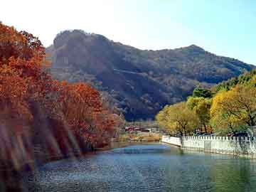 新澳门二四六天天彩，浴室女尸